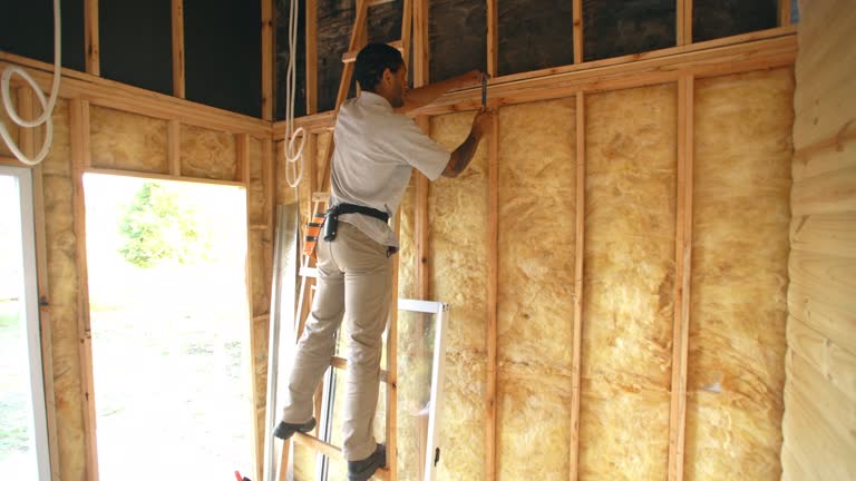 Best Radiant Barrier Insulation  in Milaca, MN